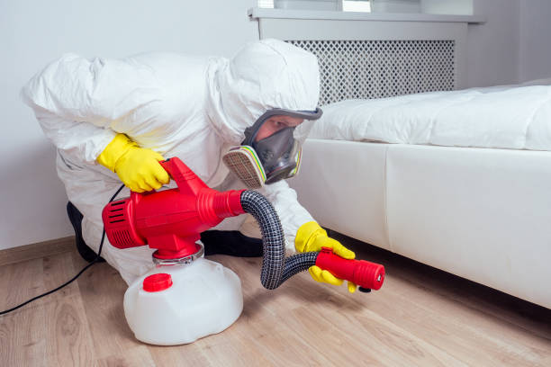 Best Pest Exclusion Services  in Bellaire, OH